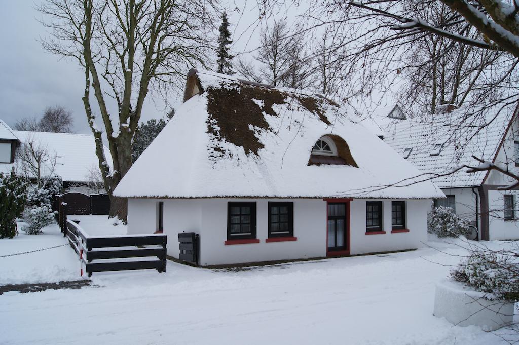 Holiday Homes Buchholz 比苏姆 外观 照片
