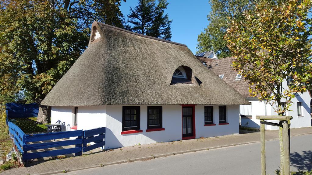 Holiday Homes Buchholz 比苏姆 外观 照片